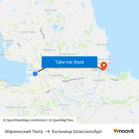 Мариинский Театр to Больница Шлиссельбург map