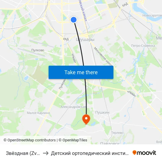 Звёздная (Zvyozdnaya) to Детский ортопедический институт им. Г. И. Турнера map