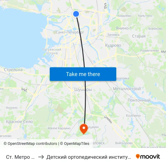 Ст. Метро Лесная to Детский ортопедический институт им. Г. И. Турнера map