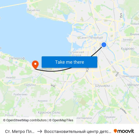 Ст. Метро Площадь Ал. Невского to Восстановительный центр детской ортопедии и травматологии «Огонёк» map