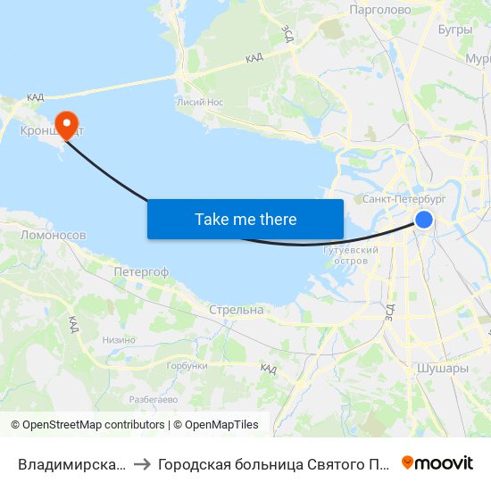 Владимирская (Vladimirskaya) to Городская больница Святого Праведного Иоанна Кронштадского map