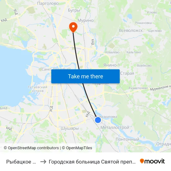 Рыбацкое (Rybatskoye) to Городская больница Святой преподобной мученицы Елизаветы map