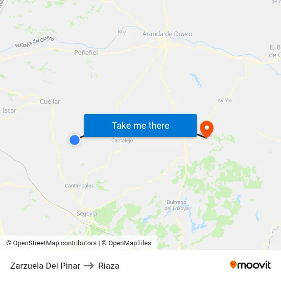 Zarzuela Del Pinar to Riaza map