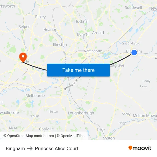 Bingham to Princess Alice Court map