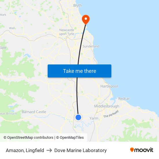 Amazon, Lingfield to Dove Marine Laboratory map