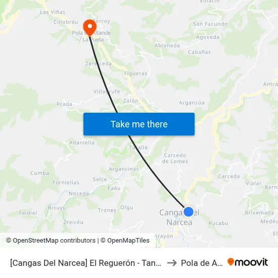 [Cangas Del Narcea]  El Reguerón - Tanatorio [Cta 04636] to Pola de Allande map