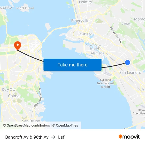 Bancroft Av & 96th Av to Usf map