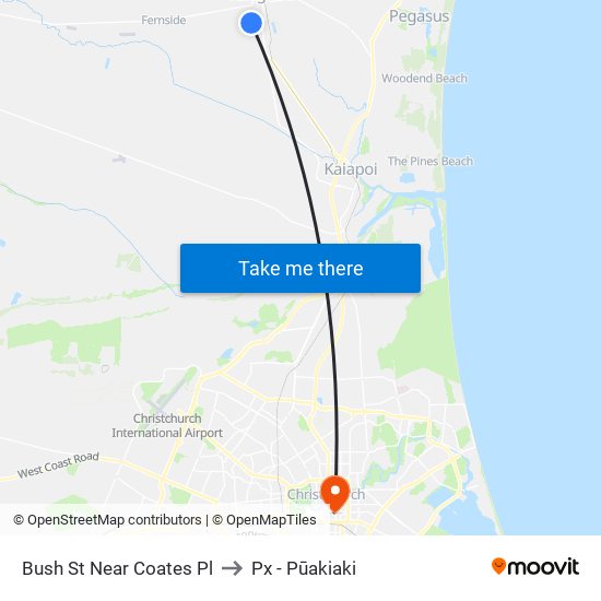 Bush St Near Coates Pl to Px - Pūakiaki map