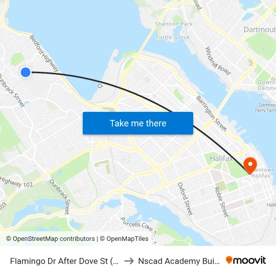Flamingo Dr After Dove St (2303) to Nscad Academy Building map