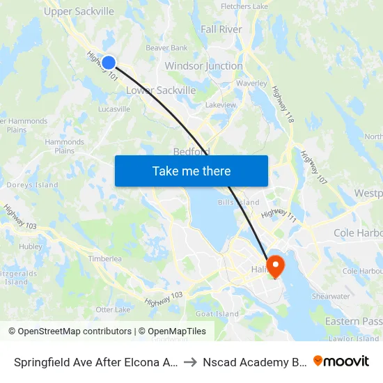 Springfield Ave After Elcona Ave (8342) to Nscad Academy Building map