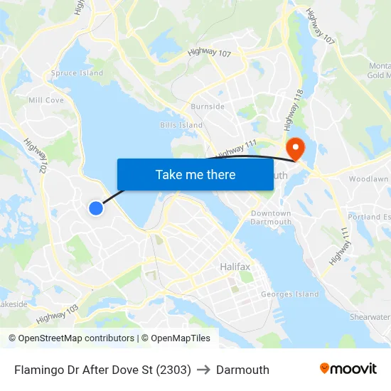 Flamingo Dr After Dove St (2303) to Darmouth map