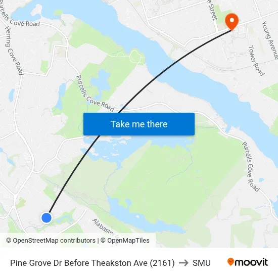 Pine Grove Dr Before Theakston Ave (2161) to SMU map