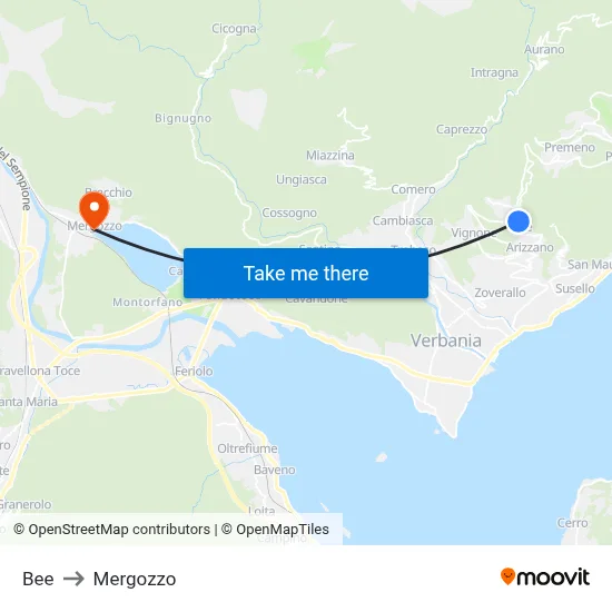 Bee to Mergozzo map
