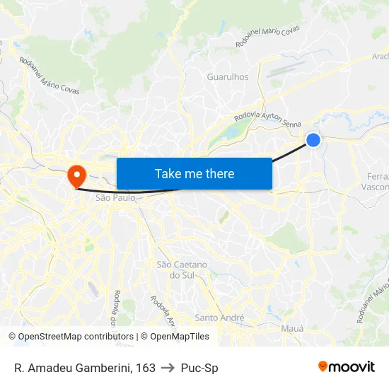 R. Amadeu Gamberini, 163 to Puc-Sp map