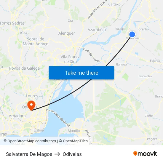 Salvaterra De Magos to Odivelas map