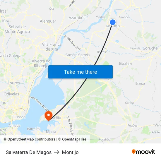 Salvaterra De Magos to Montijo map