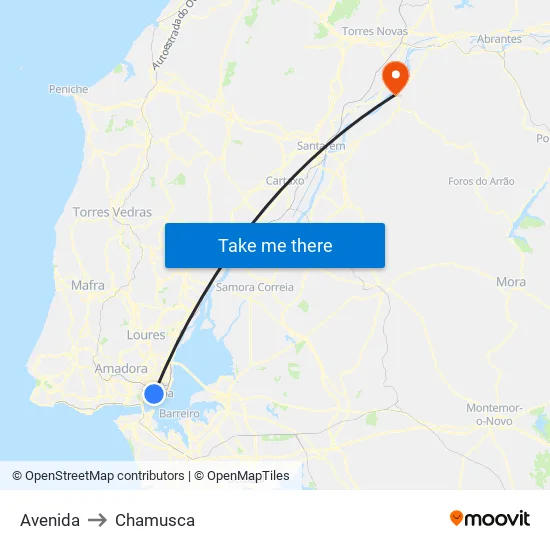 Avenida to Chamusca map