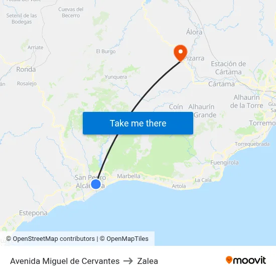 Avenida Miguel de Cervantes to Zalea map