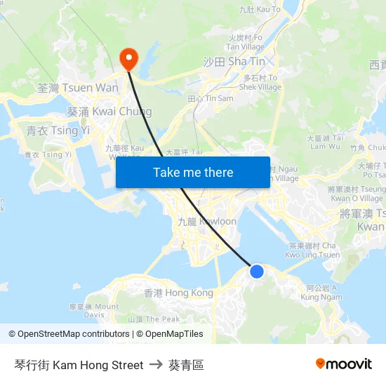 琴行街 Kam Hong Street to 葵青區 map
