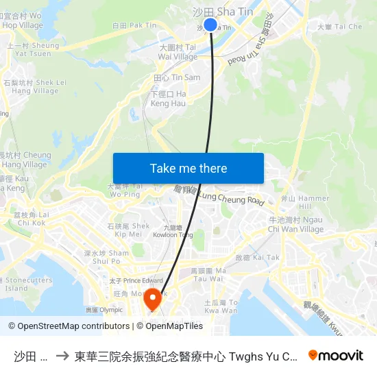 沙田 Sha Tin to 東華三院余振強紀念醫療中心 Twghs Yu Chun Keung Memorial Medical Centre map