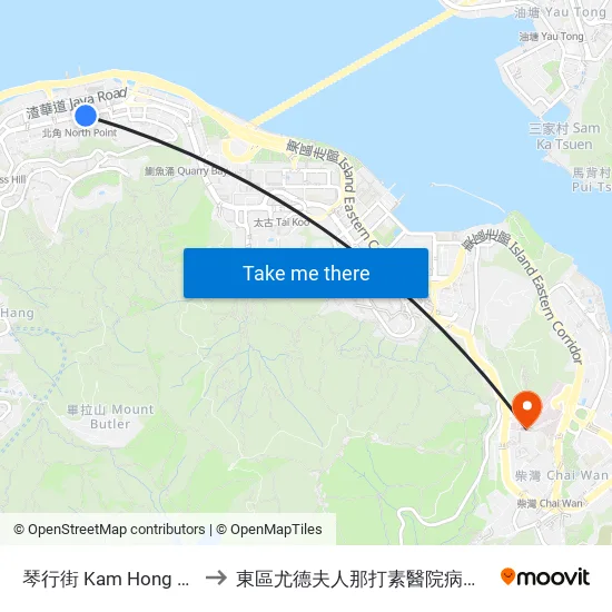 琴行街 Kam Hong Street to 東區尤德夫人那打素醫院病理學大樓 map