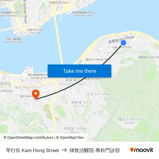 琴行街 Kam Hong Street to 律敦治醫院-專科門診部 map