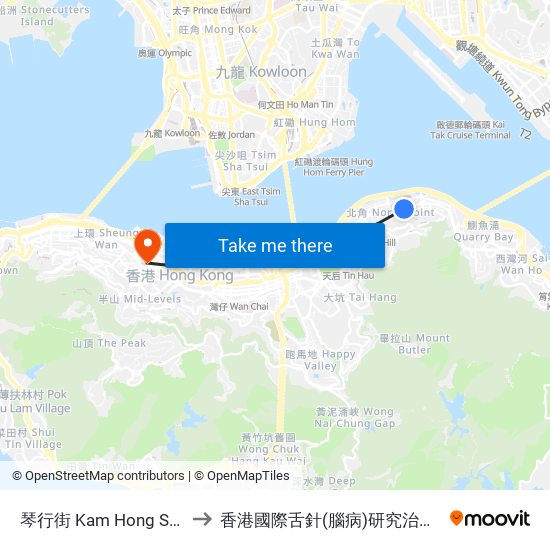 琴行街 Kam Hong Street to 香港國際舌針(腦病)研究治療中心 map
