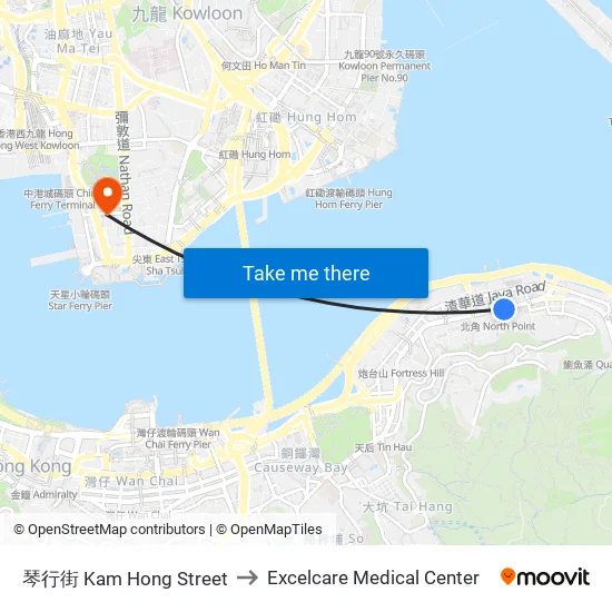 琴行街 Kam Hong Street to Excelcare Medical Center map
