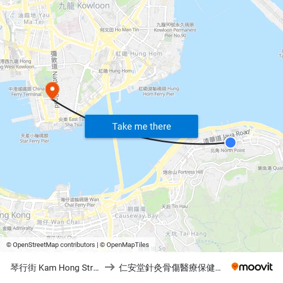 琴行街 Kam Hong Street to 仁安堂針灸骨傷醫療保健中心 map