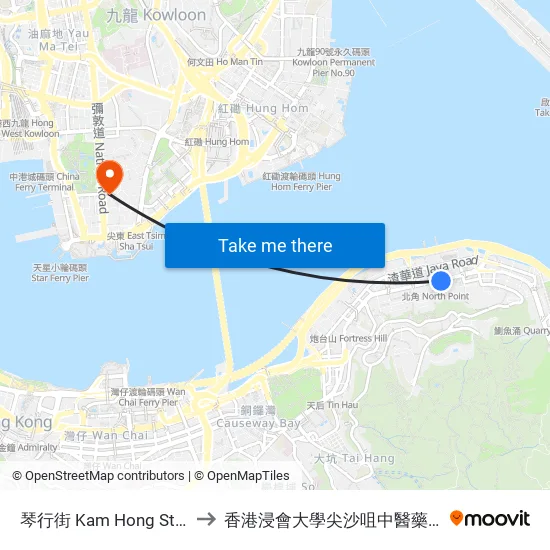 琴行街 Kam Hong Street to 香港浸會大學尖沙咀中醫藥診所 map
