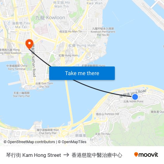 琴行街 Kam Hong Street to 香港慈龍中醫治療中心 map