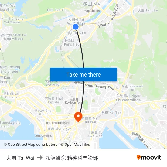 大圍 Tai Wai to 九龍醫院-精神科門診部 map