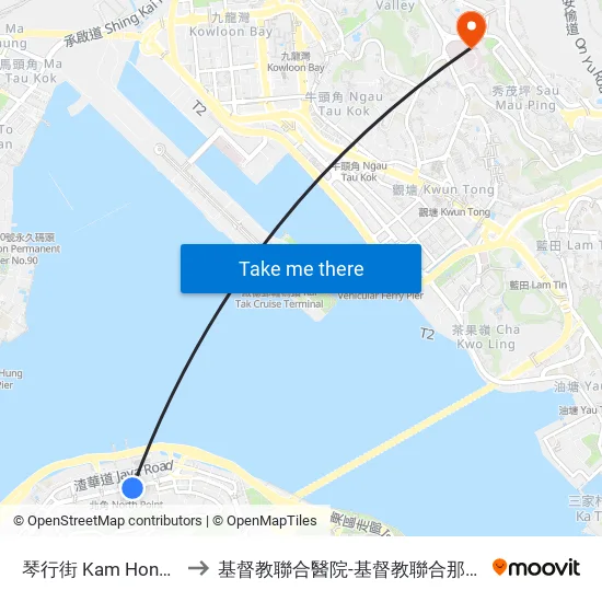琴行街 Kam Hong Street to 基督教聯合醫院-基督教聯合那打素護康院 map