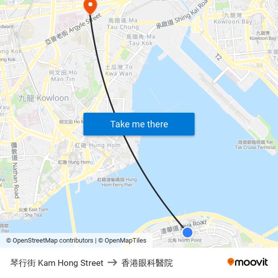 琴行街 Kam Hong Street to 香港眼科醫院 map