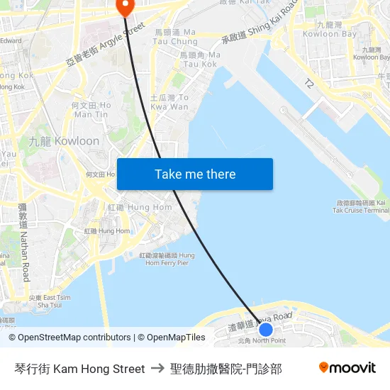 琴行街 Kam Hong Street to 聖德肋撒醫院-門診部 map