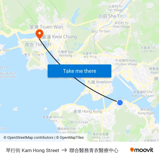 琴行街 Kam Hong Street to 聯合醫務青衣醫療中心 map