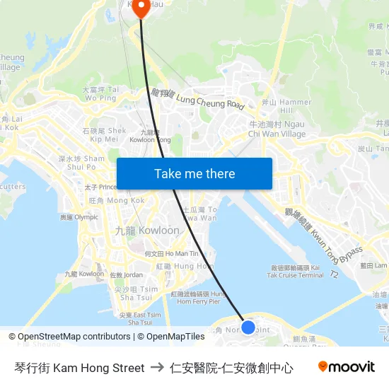 琴行街 Kam Hong Street to 仁安醫院-仁安微創中心 map
