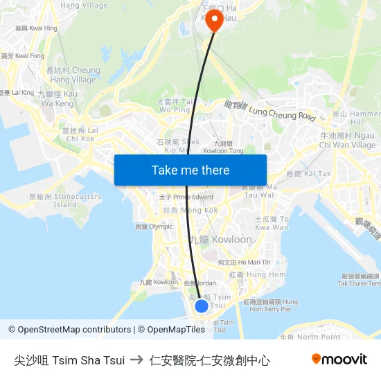 尖沙咀 Tsim Sha Tsui to 仁安醫院-仁安微創中心 map