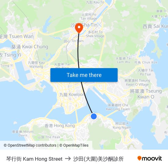 琴行街 Kam Hong Street to 沙田(大圍)美沙酮診所 map