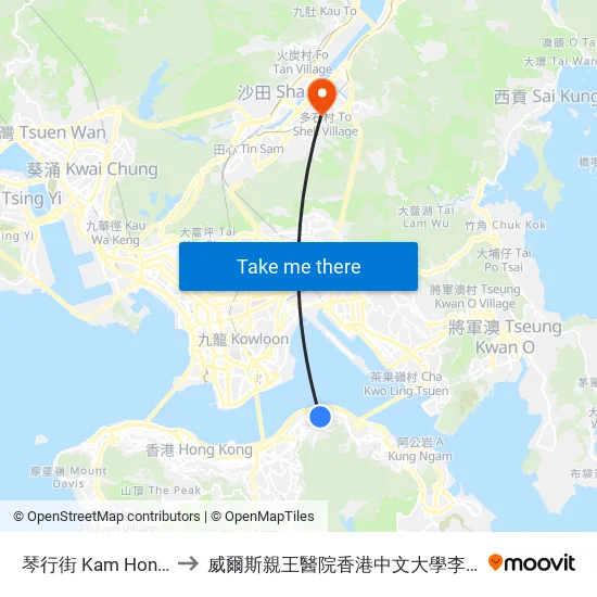 琴行街 Kam Hong Street to 威爾斯親王醫院香港中文大學李嘉誠醫學大樓 map