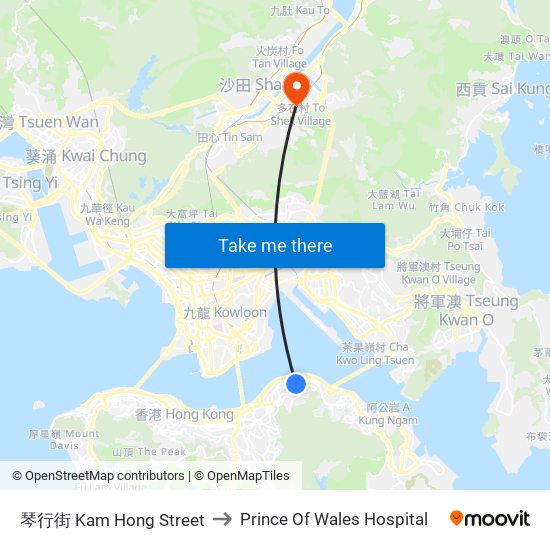 琴行街 Kam Hong Street to Prince Of Wales Hospital map