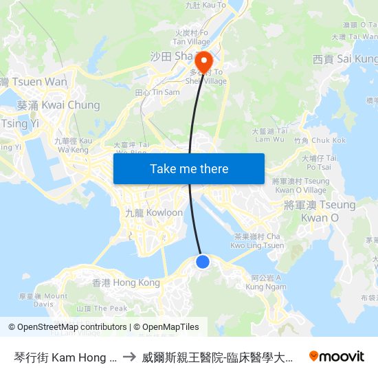 琴行街 Kam Hong Street to 威爾斯親王醫院-臨床醫學大樓(教授樓) map