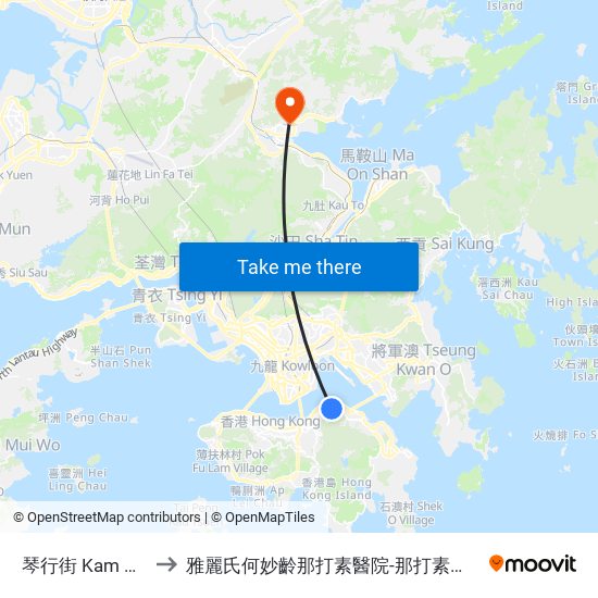 琴行街 Kam Hong Street to 雅麗氏何妙齡那打素醫院-那打素中醫藥臨床研究服務中心 map