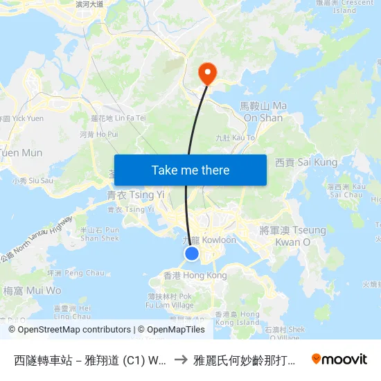 西隧轉車站－雅翔道 (C1) Western Harbour Tunnel Bbi - Nga Cheung Road (C1) to 雅麗氏何妙齡那打素醫院-那打素中醫藥臨床研究服務中心 map