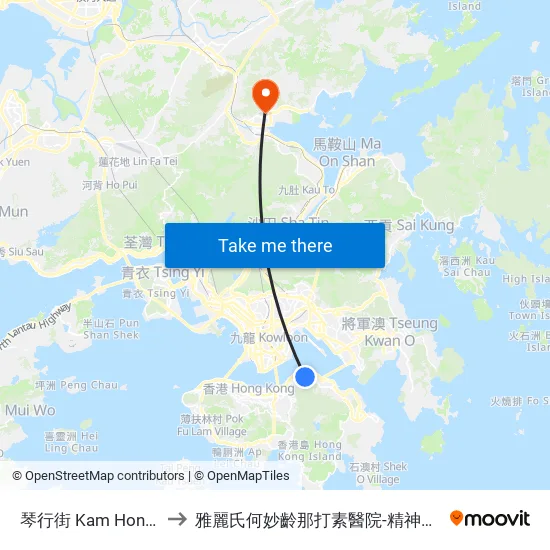 琴行街 Kam Hong Street to 雅麗氏何妙齡那打素醫院-精神健康中心門診 map