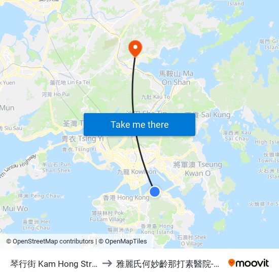 琴行街 Kam Hong Street to 雅麗氏何妙齡那打素醫院-急診 map