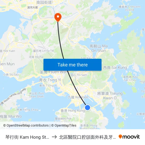琴行街 Kam Hong Street to 北區醫院口腔頜面外科及牙科部 map