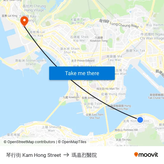 琴行街 Kam Hong Street to 瑪嘉烈醫院 map
