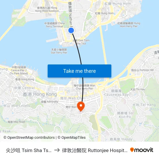 尖沙咀 Tsim Sha Tsui to 律敦治醫院 Ruttonjee Hospital map