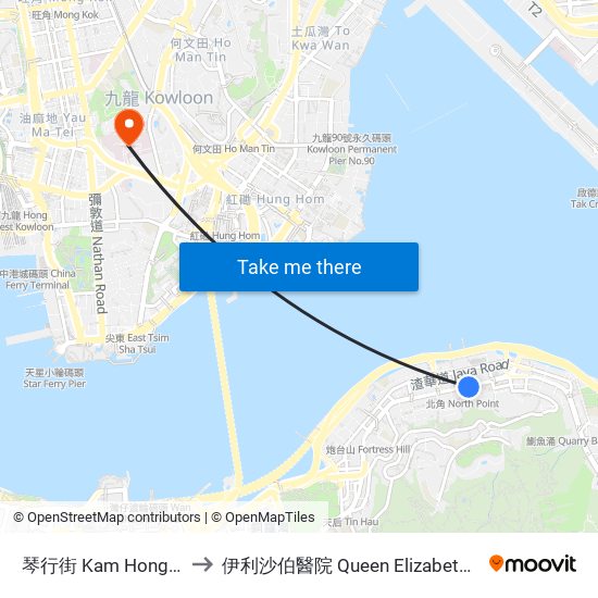 琴行街 Kam Hong Street to 伊利沙伯醫院 Queen Elizabeth Hospital map